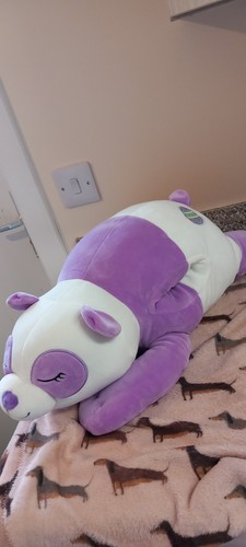Squishmallow panda penny - squishmallow,