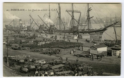 Vintage early 1900 postcard - 1900's,