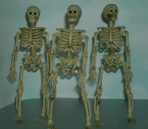 Three scale human - three, 1/12