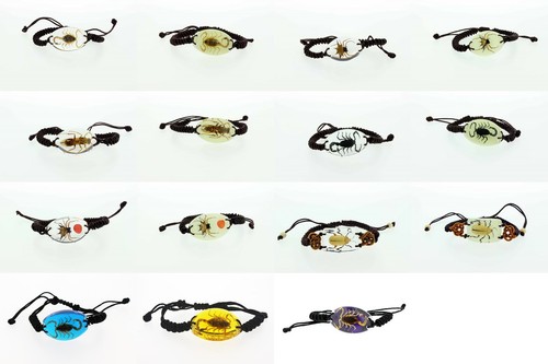 Real insect medium bracelet - real,