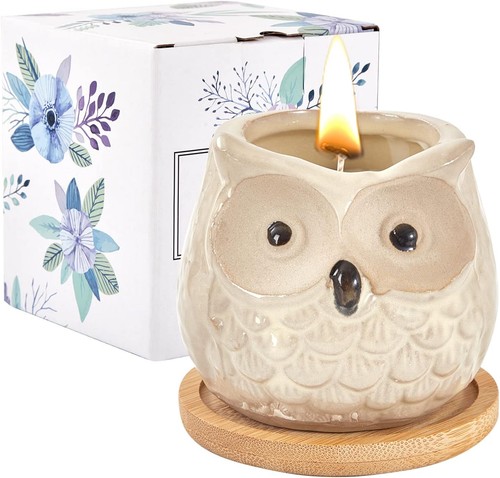 Enchanting owl scented candle - owl,