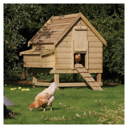Rowlinson large chicken house - chicken,