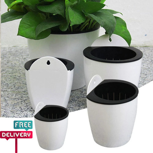 Self watering plant flower - watering,