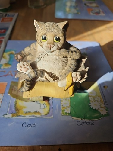 Comic curious cats alley cat - &,