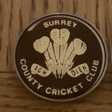 Surrey County Cricket Metal