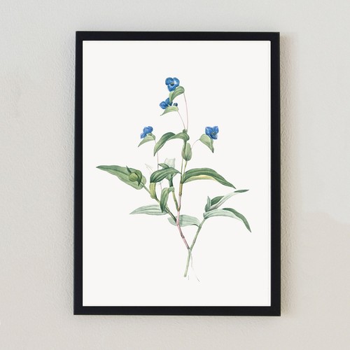 Vintage flower botanical - vintage,