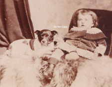 Victorian CDV Photo Likely Post Mortem Girl Dog Wright Forest Gate Essex