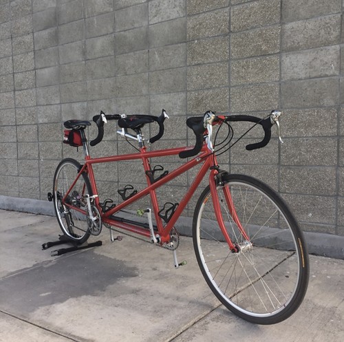Motion speedster tandem - co-motion,