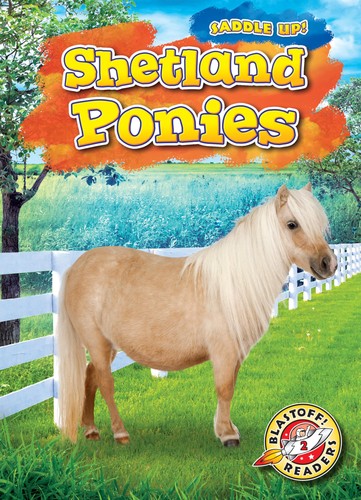 Shetland ponies blastoff - shetland,