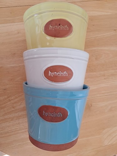 Set hyacinth plant pots - , 3