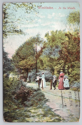 Wimbledon the woods london - wimbledon,