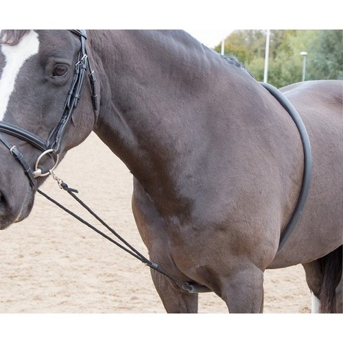 Shires soft lunge aid - shires,