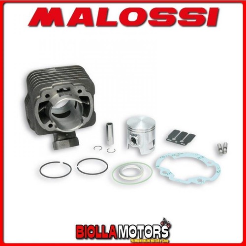 317132 cylinder kit malossi - 317132,