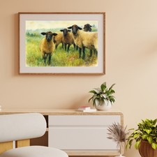 Suffolk Sheep Watercolour