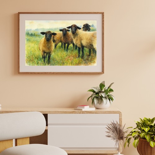 Suffolk sheep watercolour - suffolk,