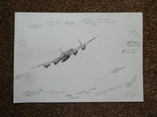 Original Pencil Drawing of a