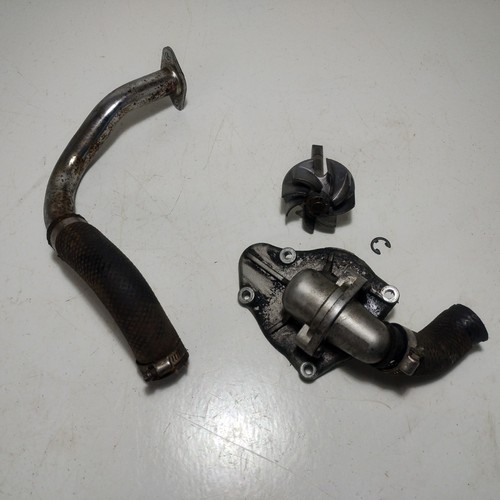1993 suzuki vx800 water - 1993,