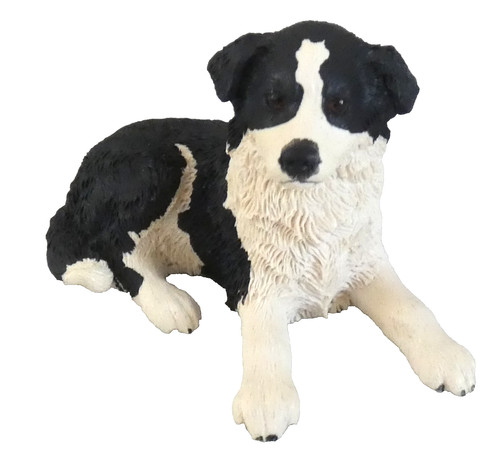 Pups galore border collie - galore,