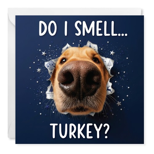 Funny labrador christmas - labrador,