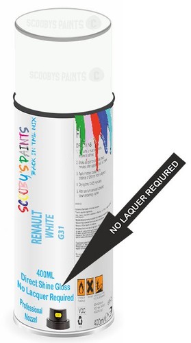 317 direct shine - 317, paint