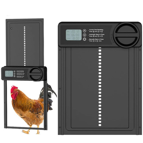 Automatic chicken coop door - chicken,