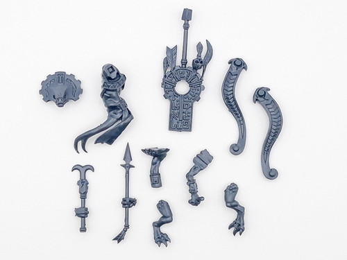 Skink oracle troglodon - skink, rider