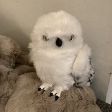 Harry Potter Hedwig Owl