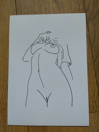 Nude erotic female line art - nude,