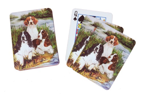 Best friends playing cards - playing,