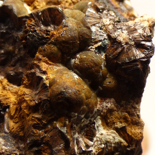 Goethite wood iron restormel - wood,