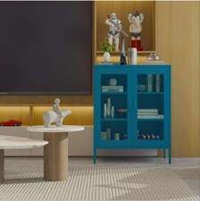 Metal Storage Cabinet with 2