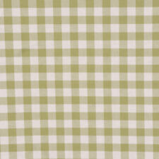 Gingham Check Green Fabric