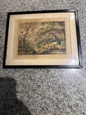 Antique hand coloured - antique, print