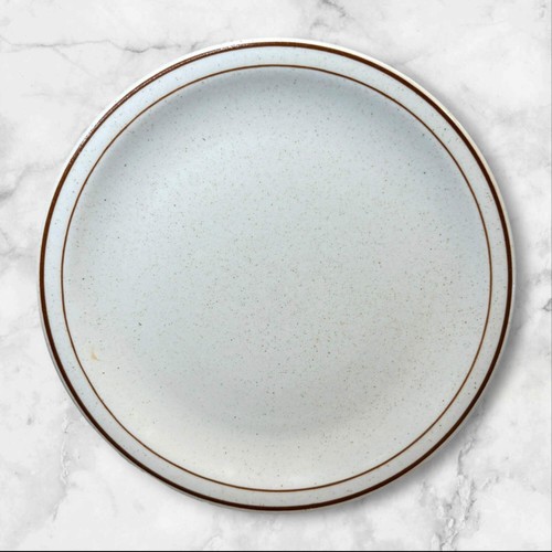 Jackson china speckled dinner - jackson,