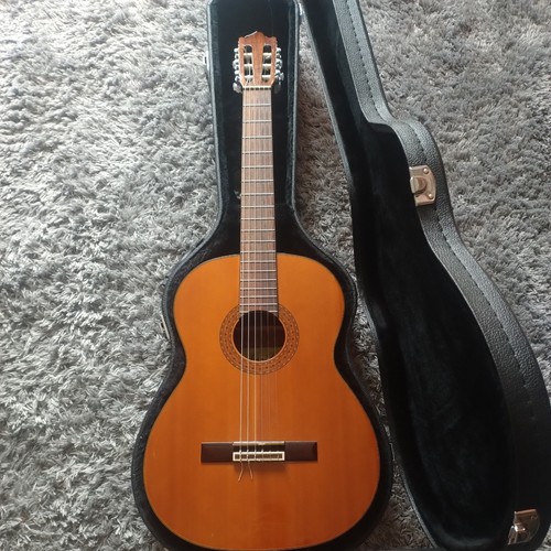 Farida guitar very good - farida, c-9