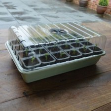 Plant propagation kit - plant,
