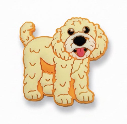 Cockapoo labradoodle dog shoe - cockapoo,