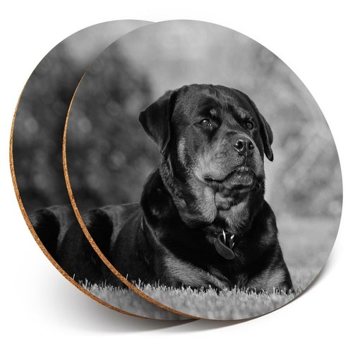 Coasters rottweiler - 2, x