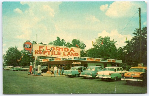 Postcard perry florida - perry,