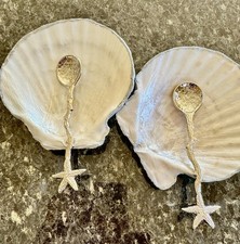 Large Scallop Shell Salt And