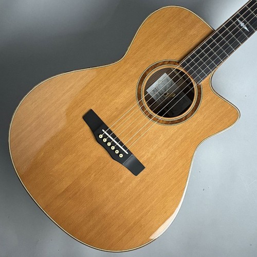 Morris 102 acoustic - morris, guitar
