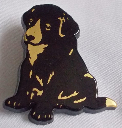 Labrador puppy - puppy, coat)