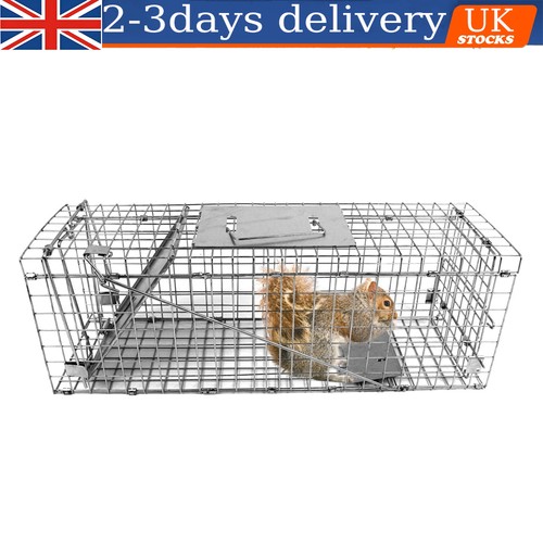 Squirrel trap heavy - duty, metal