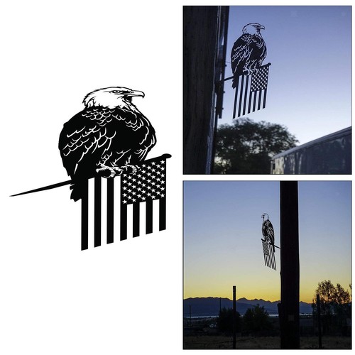 Steel bald eagle weather - weather, vane