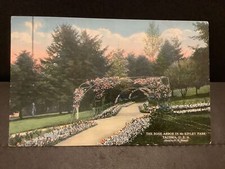 U.S. The Rose Arbor in McFinley Park Tacoma 1915 Postcard R41100