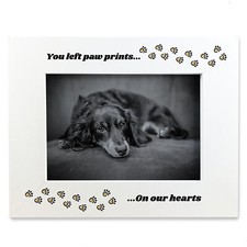 Dog Memorial Photo Frame You