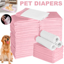 50-200 Pet Dog Puppy Training