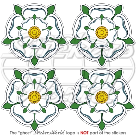White rose york flower - white, of