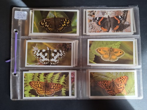 Grandee british butterflies - british,