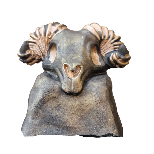 Handmade resin ram skull - ram,